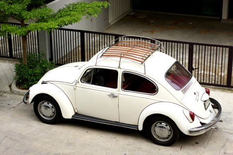 น้องเต่าสุดเลิฟ