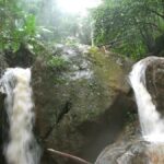 หัวช้าง (ใหญ่)