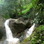 หัวช้าง (น้อย)